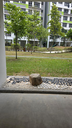 Blk 613A Tampines Greenview (Tampines), HDB 3 Rooms #620735371
